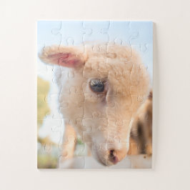 Quebra-cabeça Retrato de um carneiro