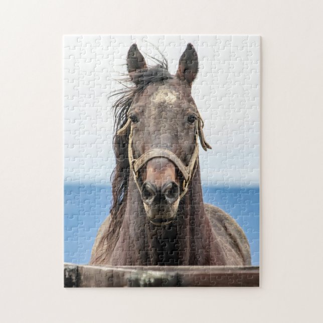 Quebra-cabeça Retrato de um cavalo (Vertical)