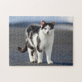 Quebra-cabeça Retrato de um gato
