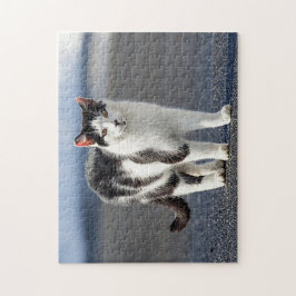 Quebra-cabeça Retrato de um gato