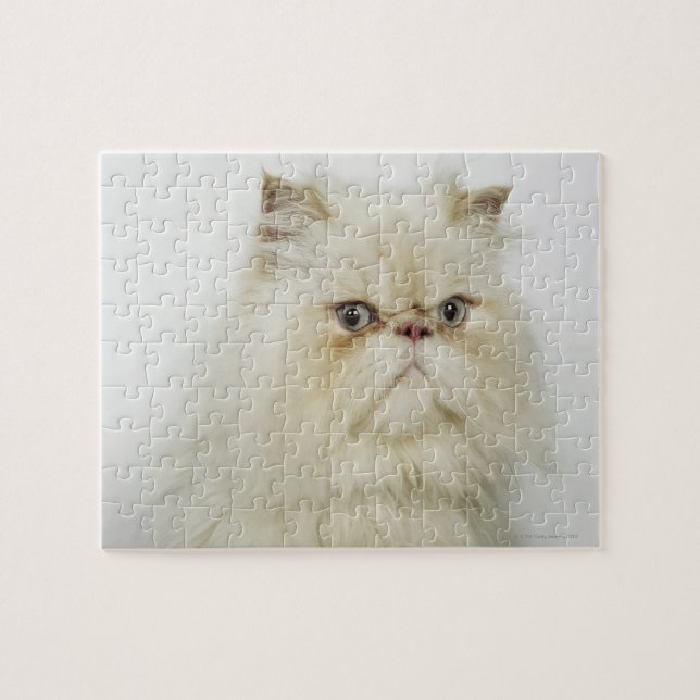 Quebra-cabeça Retrato de um gato persa (Horizontal)
