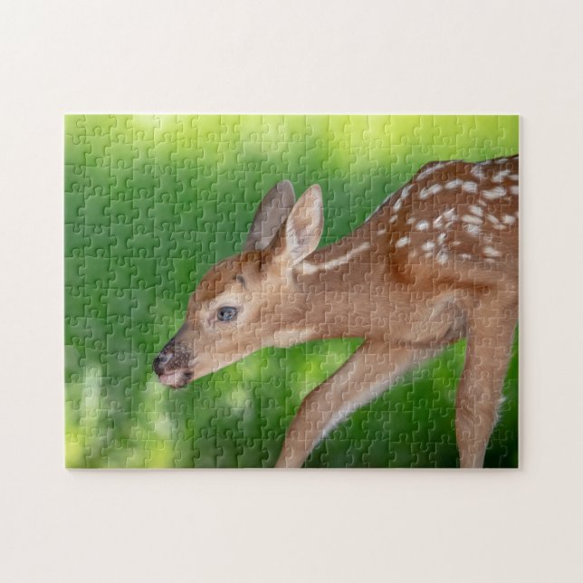 Quebra-cabeça Retrato de uma Fawn recém-nascida (veado de cauda  (Horizontal)