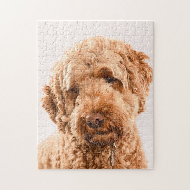 Quebra-cabeça Retrato do Goldendoodle Studio (Vertical)