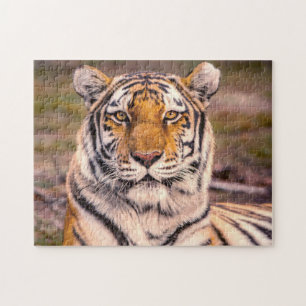 Quebra-cabeça Retrato fotográfico de Tiger