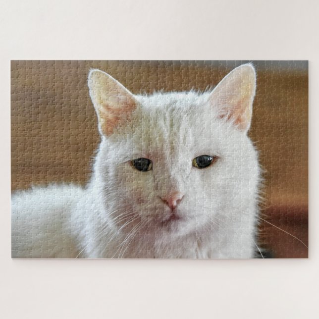 Quebra-cabeça Retrato Gato de Angora Turca Branca (Horizontal)