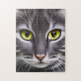 Quebra-cabeça Retrato maravilhoso de gato