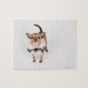 Quebra-cabeça Retrato subtil de uma chihuahua do Teacup