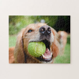 Quebra-cabeça Retriever De Ouro Com Bola De Tênis