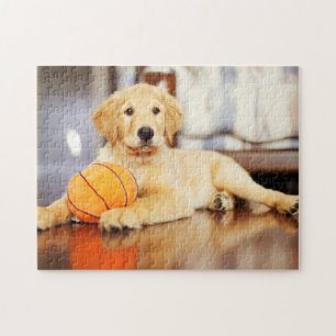 Quebra-cabeça Retriever Ouro Com Brinquedo De Basquete