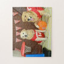 Retrievers dourados que jogam o basquetebol