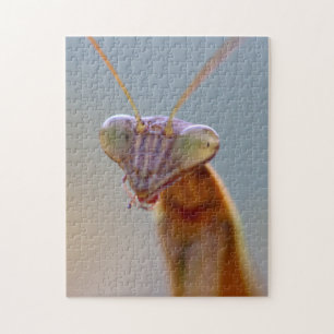 Quebra-cabeça Rezando Mantids