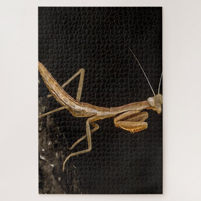 Quebra-cabeça Rezando Mantis, Fofa E Arte Inseta Assustadora (Vertical)