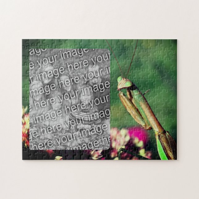 Quebra-cabeça Rezando para Mantis Frame Crie sua própria foto (Horizontal)