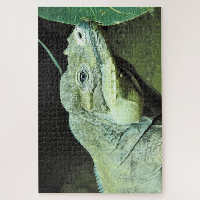 Quebra-cabeça Rhinoceros Iguana (Vertical)