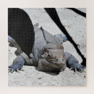 Quebra-cabeça Rhinoceros Iguana