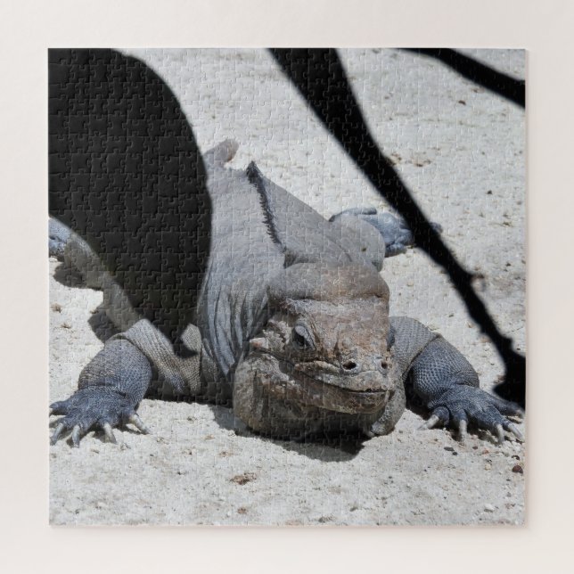 Quebra-cabeça Rhinoceros Iguana (Vertical)