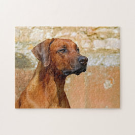 Quebra-cabeça Ridgeback Cão Ridgeback Olhando Olhos