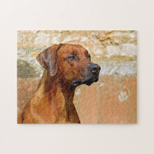 Quebra-cabeça Ridgeback Cão Ridgeback Olhando Olhos