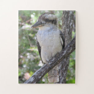 Quebra-cabeça rindo de kookaburra