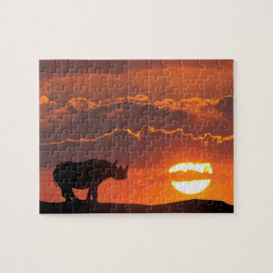 Quebra-cabeça Rinoceronte ao pôr do sol, Masai Mara, Quênia