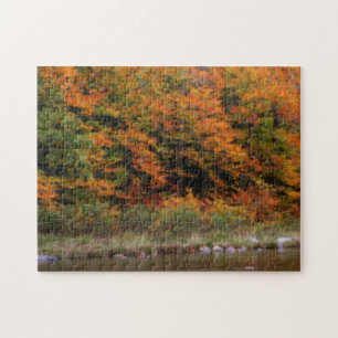 Quebra-cabeça Rio Fall Foliage Bordering