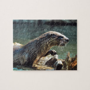 Quebra-cabeça Rio Otter Animal-lover Foto da vida selvagem