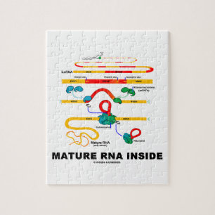 Quebra-cabeça RNA maduro dentro do humor da biologia
