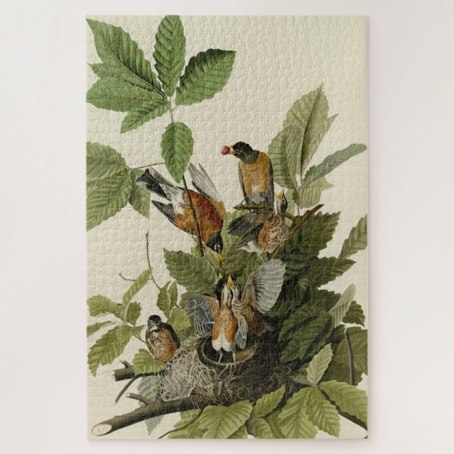 Quebra-cabeça Robin Americano das Aves da América de Audubon (Vertical)