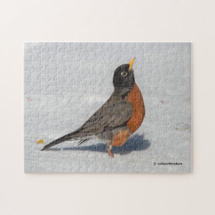 Quebra-cabeça Robin Americano na Neve