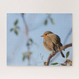 Quebra-cabeça Robin Nature Photo