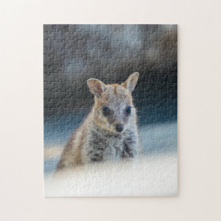 Quebra-cabeça Rock Wallaby Joey Portrait – Australian Wildlife 