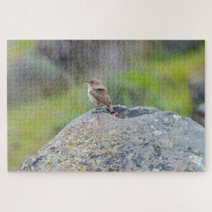 Quebra-cabeça Rock Wren