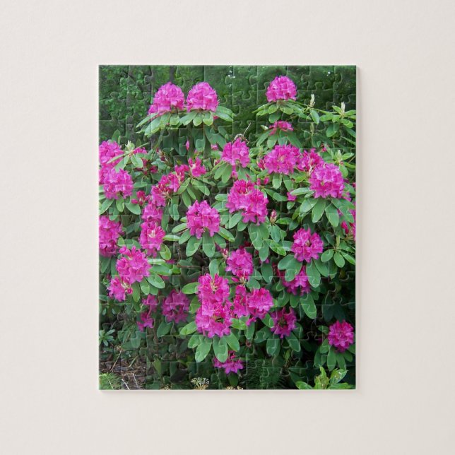 Quebra-cabeça Rododendro da floresta (Vertical)