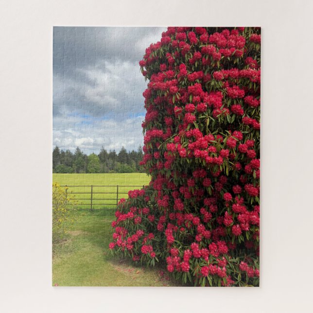 Quebra-cabeça Rododendro e vista panorâmica na Escócia (Vertical)