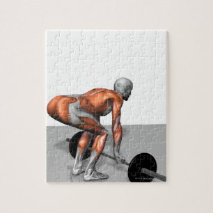 Quebra-cabeça Romanian Deadlift 2