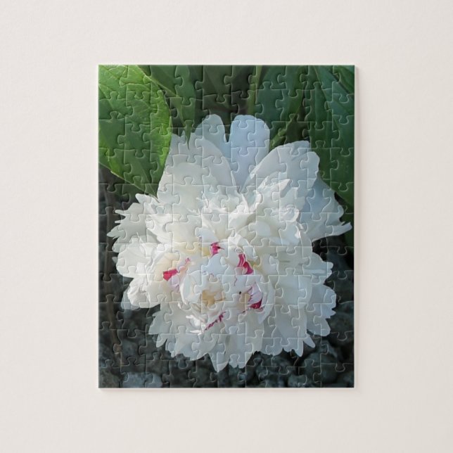 Quebra-cabeça Romântica de Peony (Vertical)