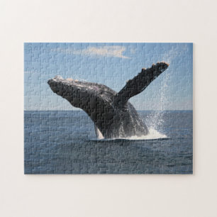 Quebra-cabeça Rompimento adulto da baleia de Humpback