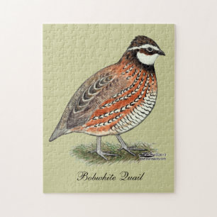 Quebra-cabeça Rooster Bobwhite Quail