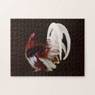 Quebra-cabeça Rooster Vermelho com Penas Brancas