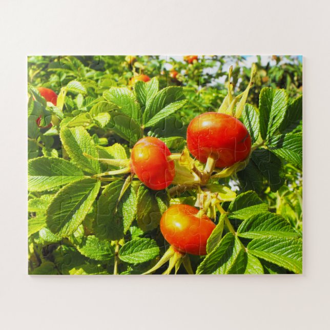 Quebra-cabeça Rosa (Horizontal)