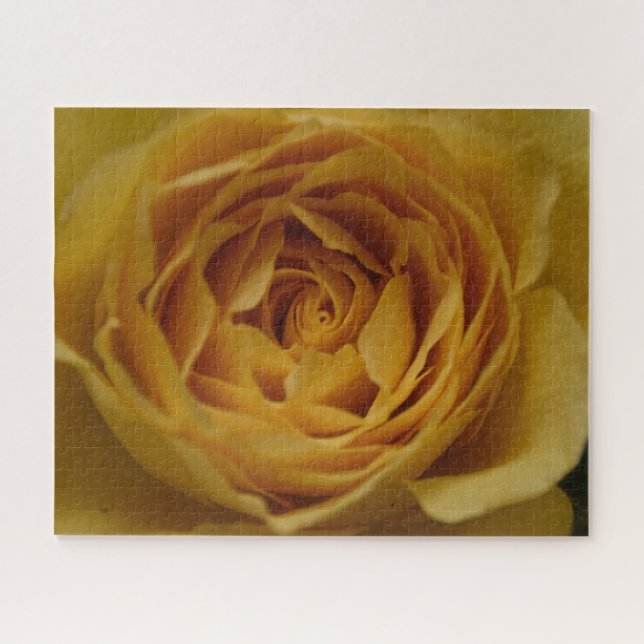 Quebra-cabeça Rosa Amarelo (Horizontal)