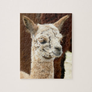 Quebra-cabeça Rosa da alpaca