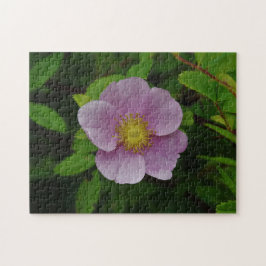 Quebra-cabeça Rosa do rosa selvagem