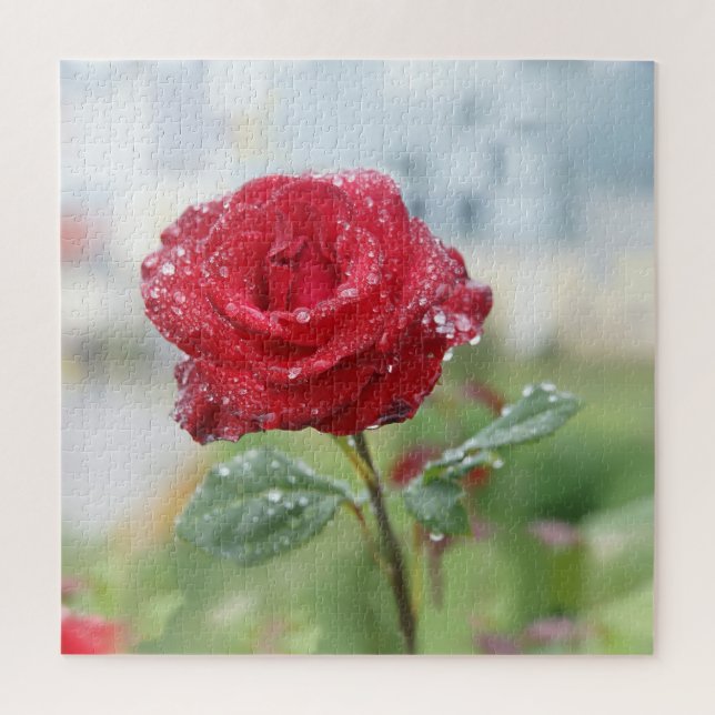 Quebra-cabeça Rosa em gotas de chuva (Vertical)