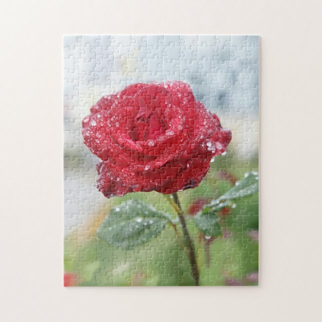 Quebra-cabeça Rosa em gotas de chuva (Vertical)