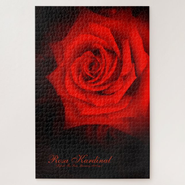Quebra-cabeça Rosa Kardinal [Jigsaw puzzle(1014 piece)] (Vertical)