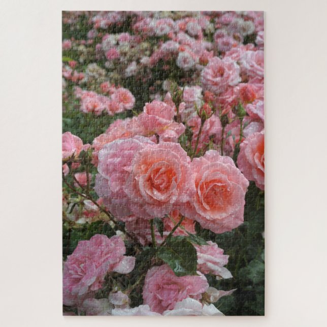 Quebra-cabeça rosa 'Kate Sheppard' rosa (Vertical)