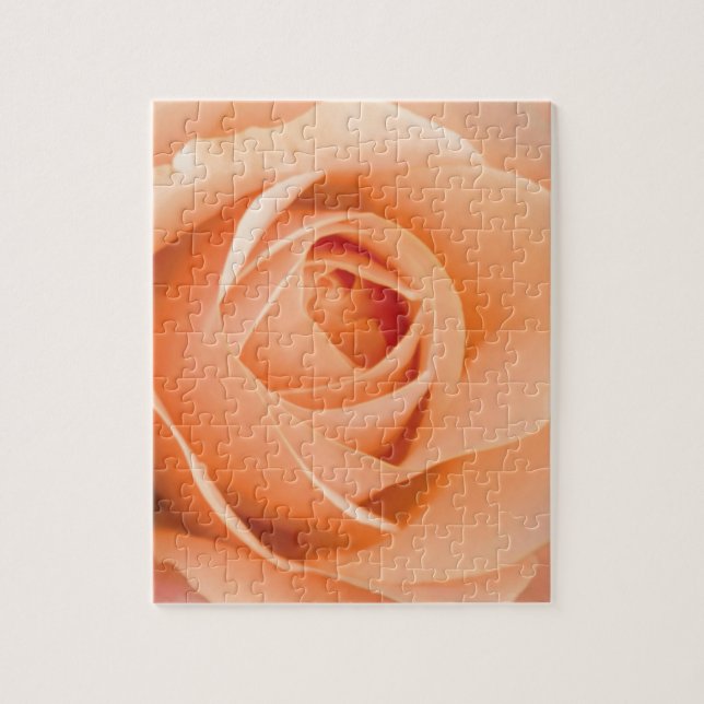 Quebra-cabeça Rosa Laranja (Vertical)