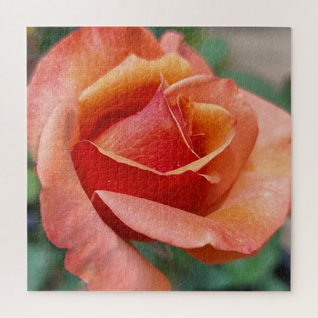Quebra-cabeça Rosa Radiante – Pétalas em Harmonia (Vertical)
