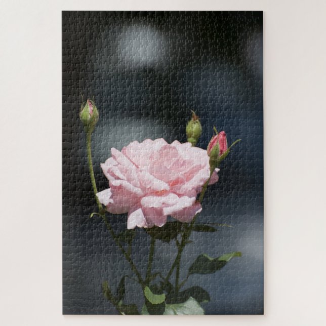 Quebra-cabeça rosa rosa (Vertical)